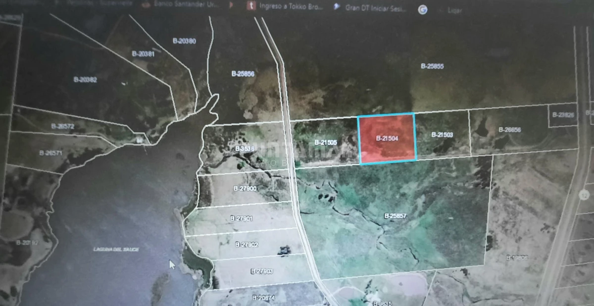 Chacra ID.213837 - CHACRA EN ZONA DE LAGUNA DEL SAUCE