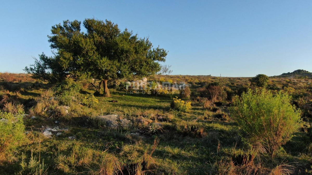Chacra ID.213258 - VENTA DE CHACRA ZONA AIGUA