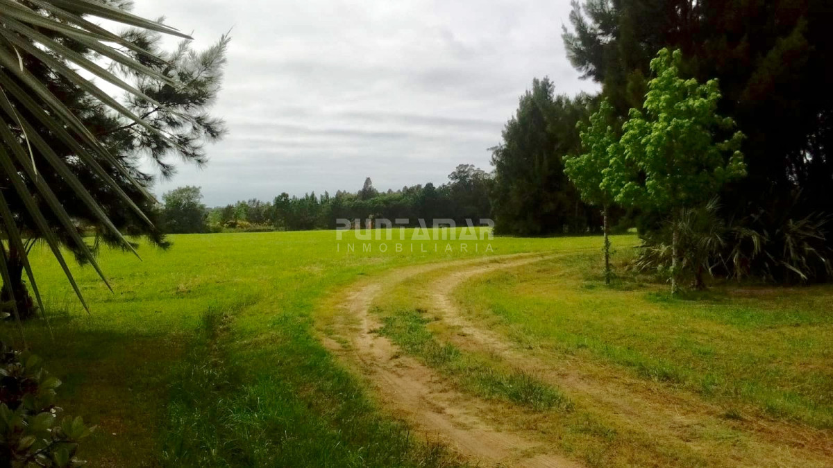 Chacra ID.211445 - VENTA  DE CHACRA  EN MANANTIALES  