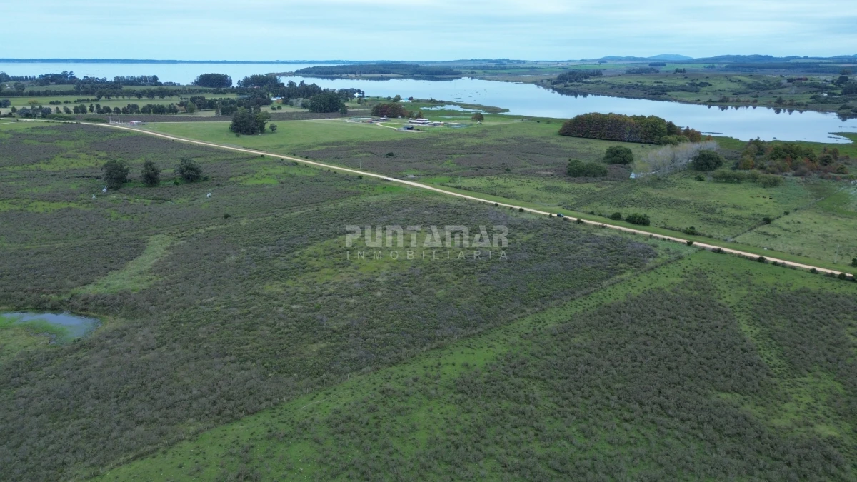Chacra ID.213839 - OPORTUNIDAD DE INVRERSIÓN VENTA DE CHACRA EN LAGUNA DEL SAUCE  11 HAS