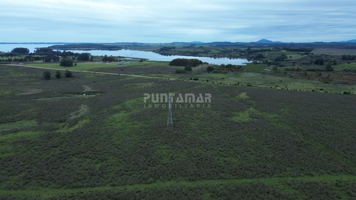 Chacra ID.213839 - OPORTUNIDAD DE INVRERSIÓN VENTA DE CHACRA EN LAGUNA DEL SAUCE  11 HAS