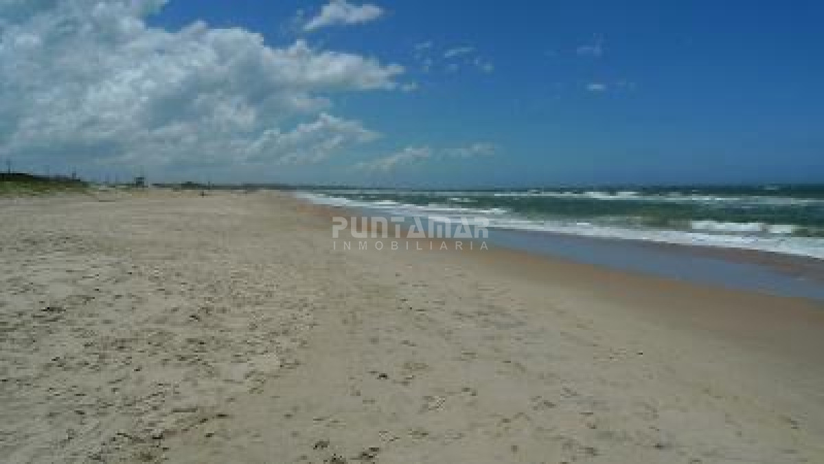 Chacra ID.213153 - VENTA DE CHACRA EN LA PALOMA   5 HAS.