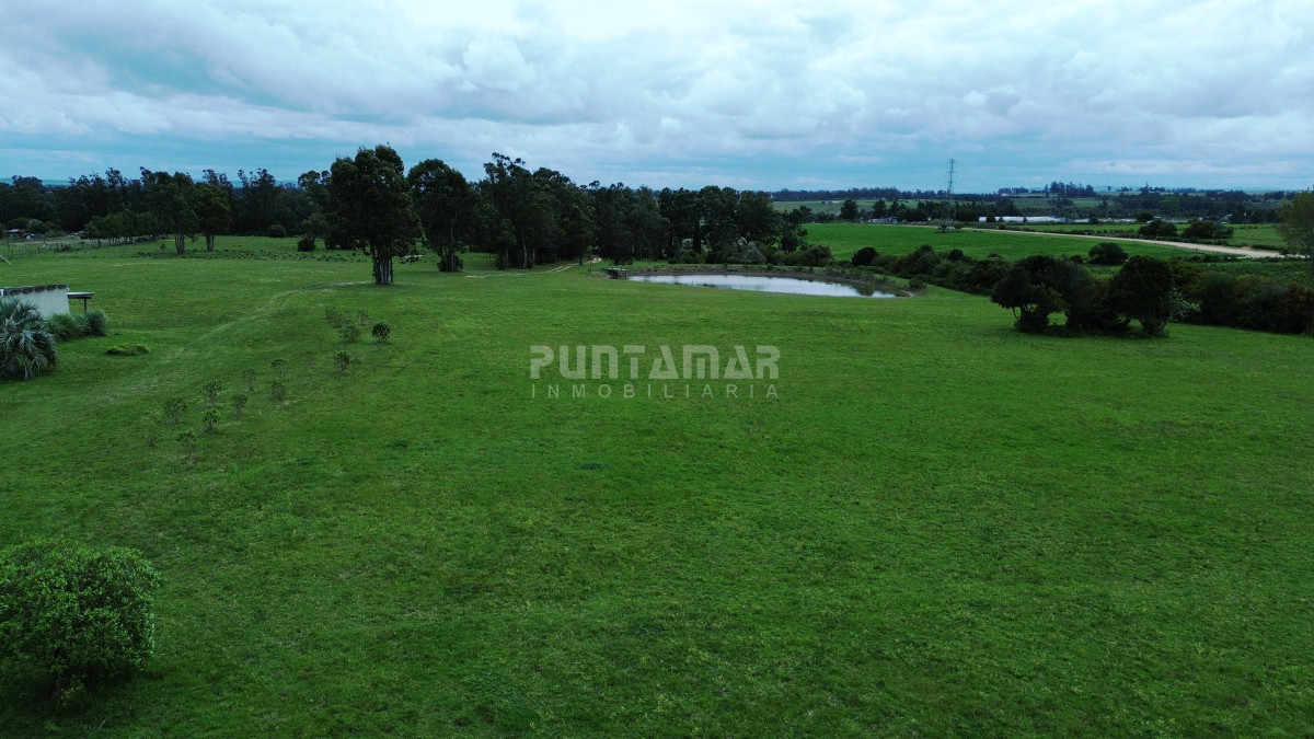 Chacra ID.213437 - Chacra en venta Ruta 104