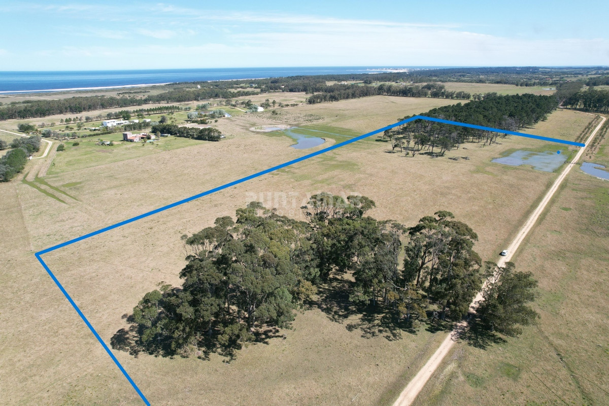 Chacra ID.213278 - VENTA DE CHACRA EN JOSE IGNACIO 5 HAS