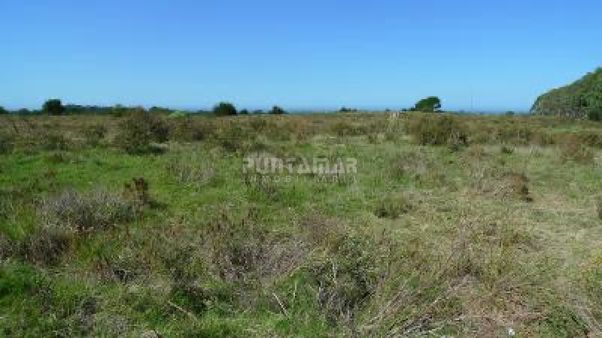 Chacra ID.213153 - VENTA DE CHACRA EN LA PALOMA   5 HAS.