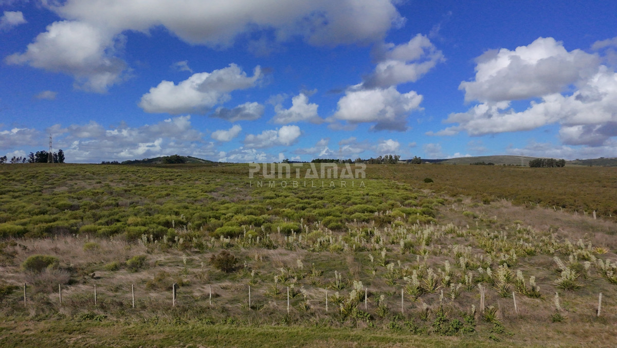 Chacra ID.213839 - CHACRA EN ZONA LAGUNA DEL SAUCE 