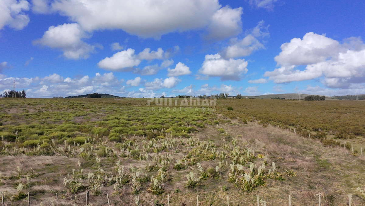 Chacra ID.213839 - CHACRA EN ZONA LAGUNA DEL SAUCE 