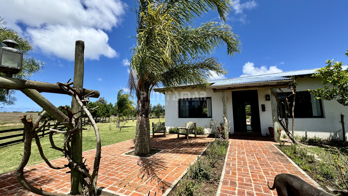 Chacra ID.213456 - VENTA CHACRA DE 5 HECTAREAS ENTRE JOSE IGNACIO Y MANANTIALES 