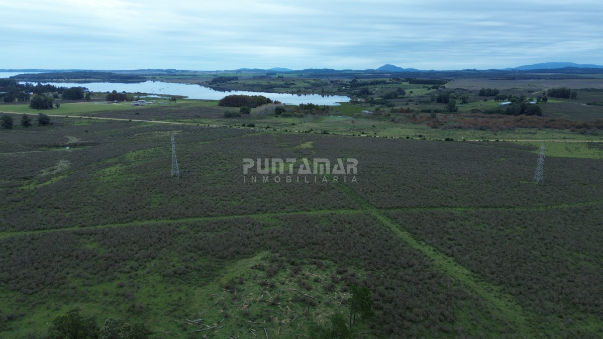 Chacra ID.213837 - OPORTUNIDAD DE INVERSIÓN, VENTA DE  CHACRA EN ZONA DE LAGUNA DEL SAUCE 5 HAS.