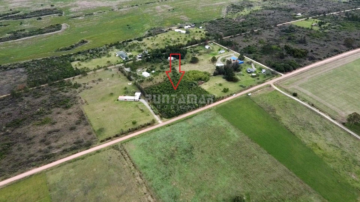Chacra ID.213057 - Chacra de 1 hectárea en zona de Matamora, Colonia, a metros del mar