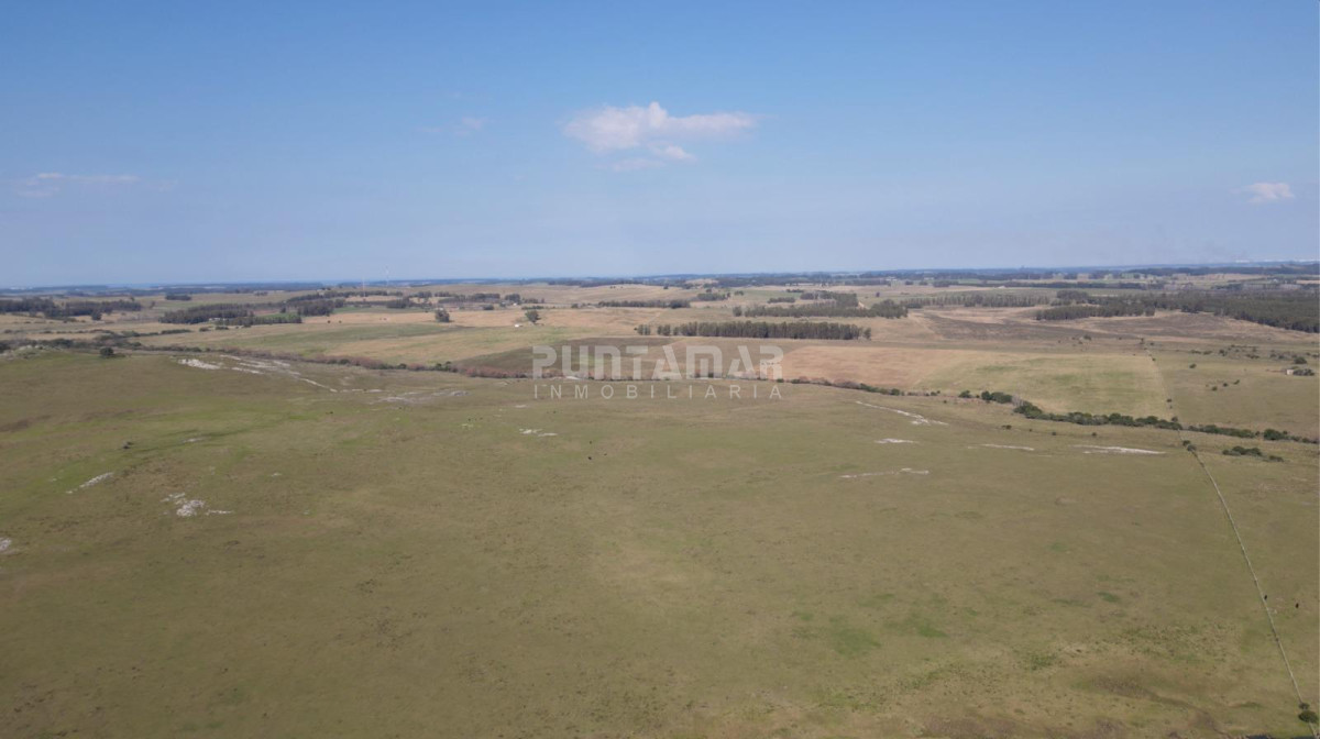 Campo Ref.213090 - VENTA CAMPO CRIADOR Y TURISTICO 123 HAS EN MALDONADO 
