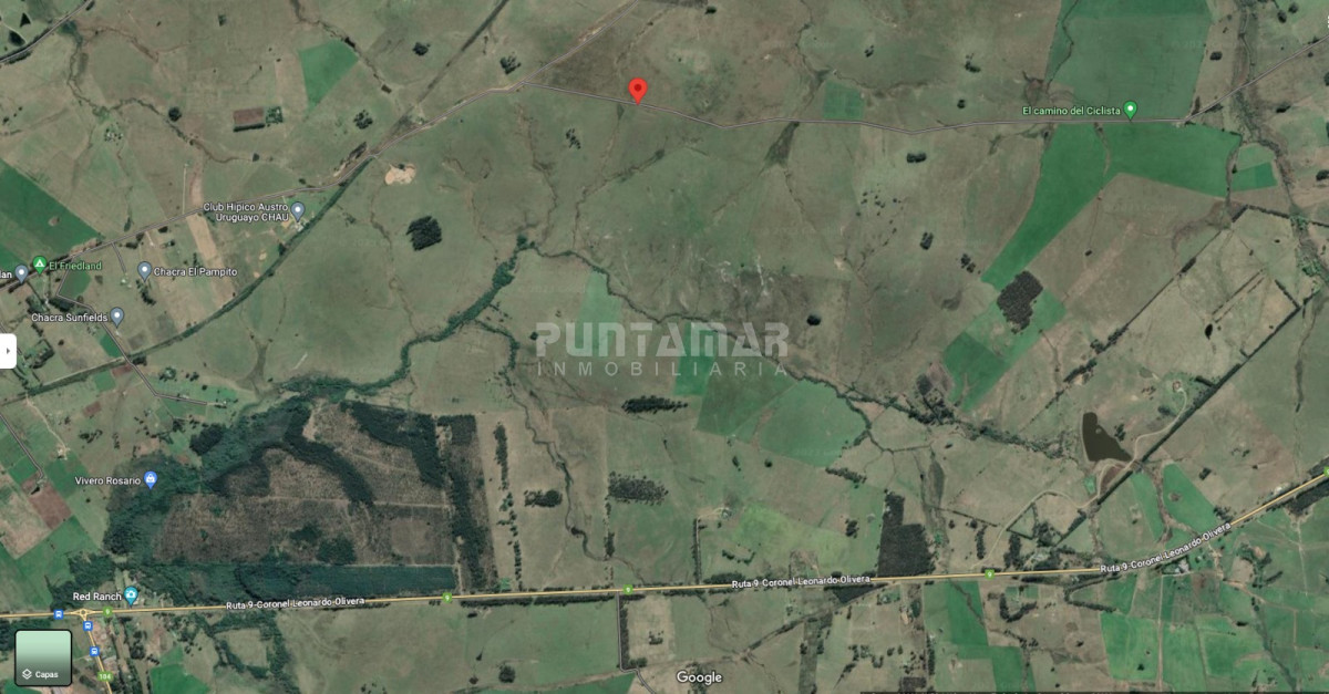 Campo Ref.213090 - VENTA CAMPO CRIADOR Y TURISTICO 123 HAS EN MALDONADO 