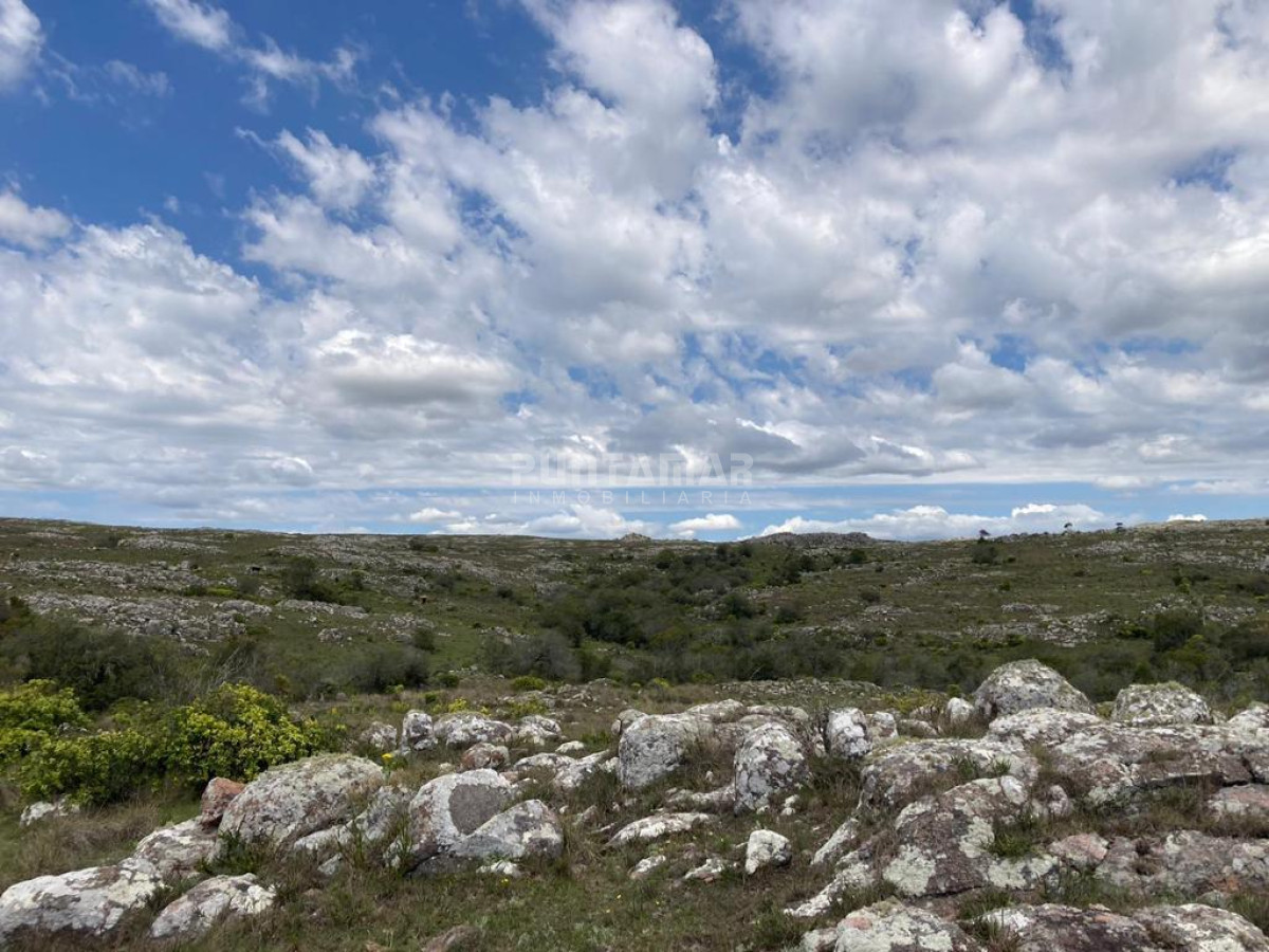 Campo Ref.212685 - VENTA DE CAMPO DE 12 HAS  CAMINO AIGUA 