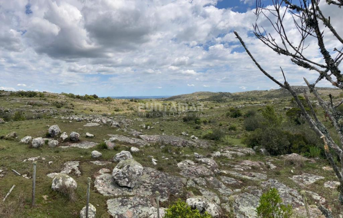 Campo Ref.212685 - VENTA DE CAMPO DE 12 HAS  CAMINO AIGUA 