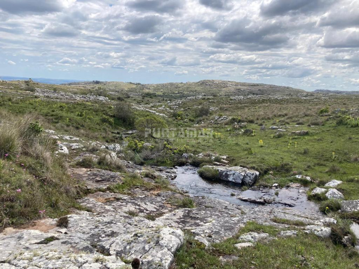 Campo Ref.212685 - VENTA DE CAMPO DE 12 HAS  CAMINO AIGUA 