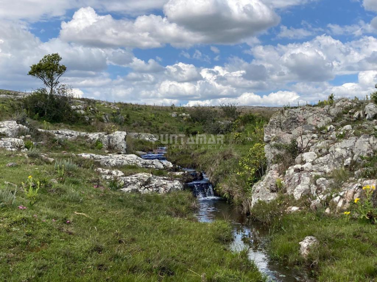 Campo Ref.212685 - VENTA DE CAMPO DE 12 HAS  CAMINO AIGUA 