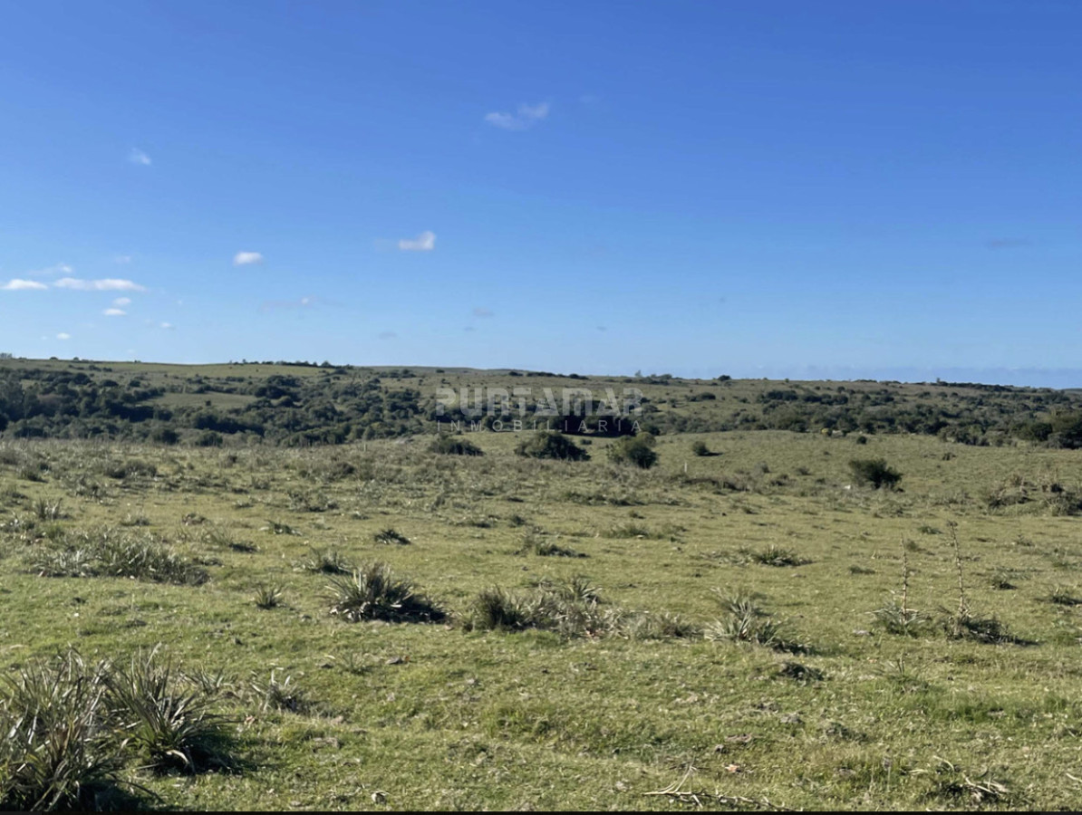 Campo Ref.213034 - MUY LINDA CHACRA EN ROCHA
