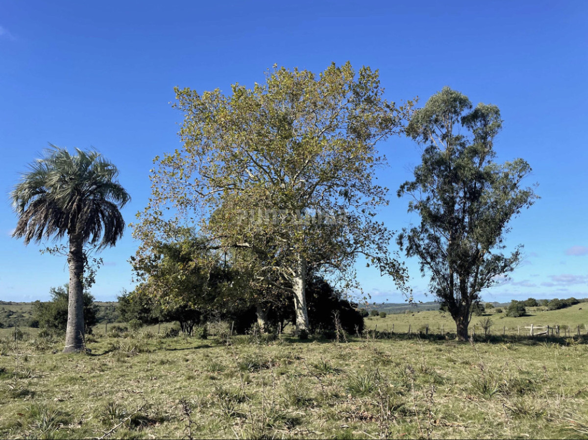 Campo Ref.213034 - MUY LINDA CHACRA EN ROCHA