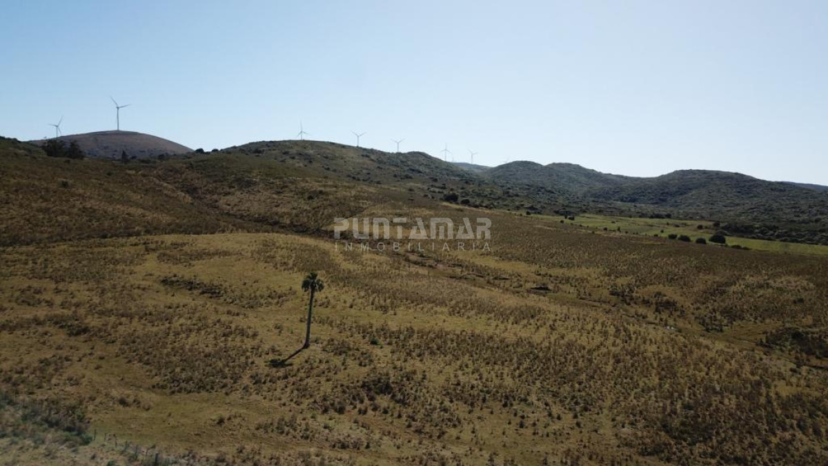 Campo Ref.213407 - Oportunidad de inversión!