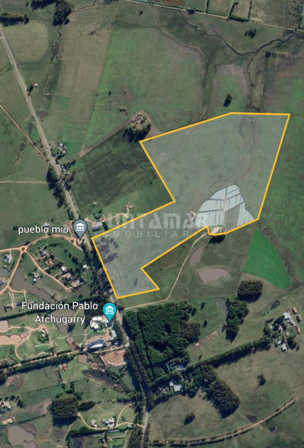 Campo Ref.213383 - VENTA DE CAMPO 43 Hrs SOBRE RUTA 104
