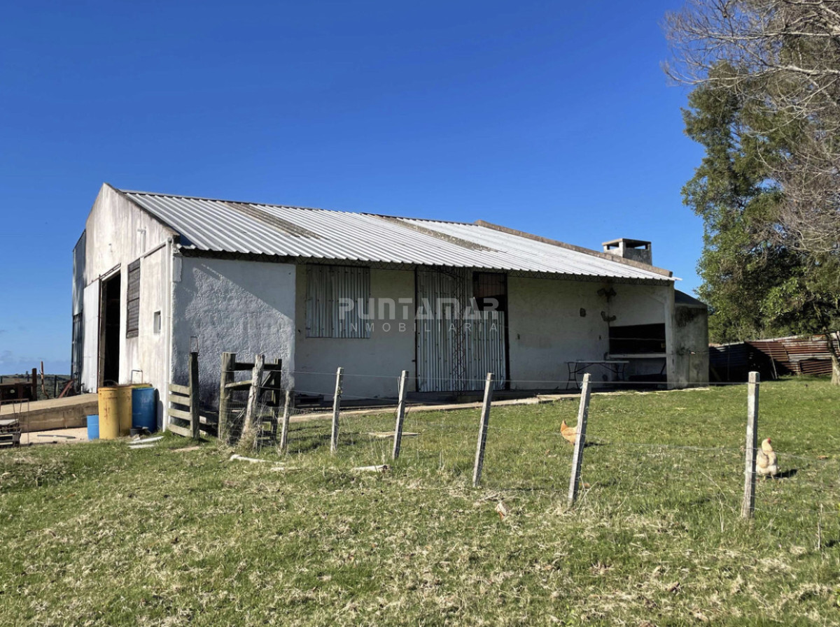 Campo Ref.213034 - MUY LINDA CHACRA EN ROCHA