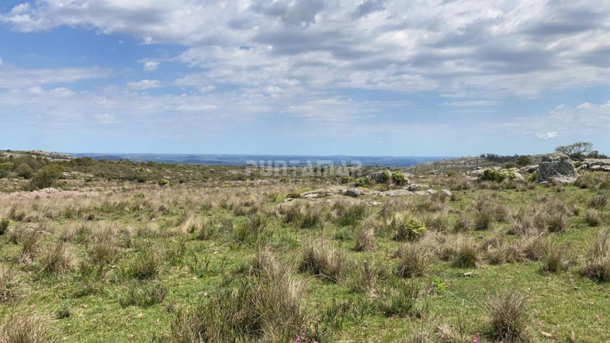 Campo Ref.212614 - VENTA DE CAMPO PRÓXIMO AIGUA 5 HAS