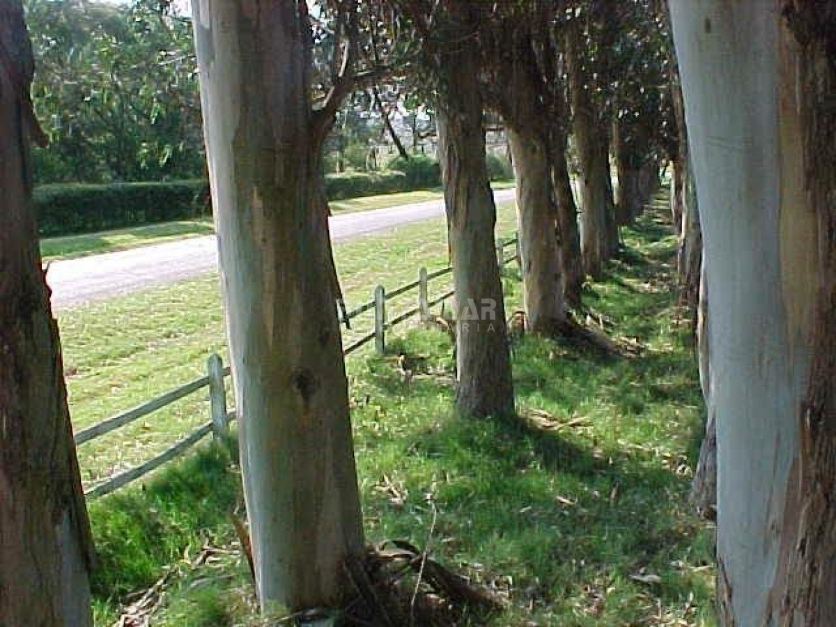 Terreno ID.211427 - Terreno en La Barra, La Barra