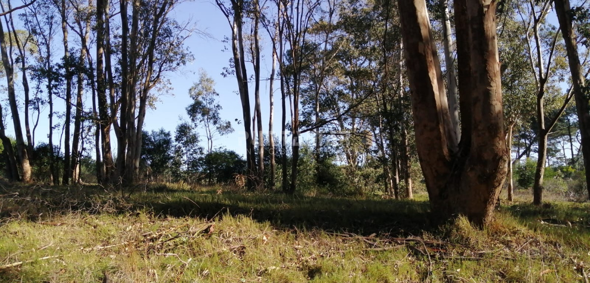 Terreno ID.212032 - Terreno en venta en Barra Verde