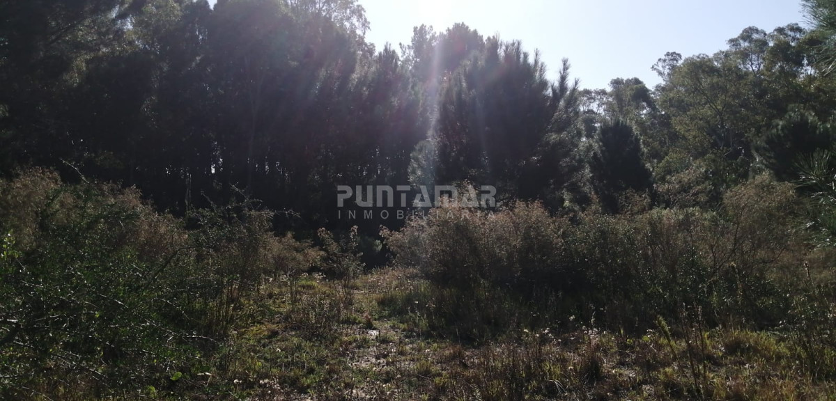 Terreno ID.212038 - VENTA DE TERRENO EN BARRA VERDE