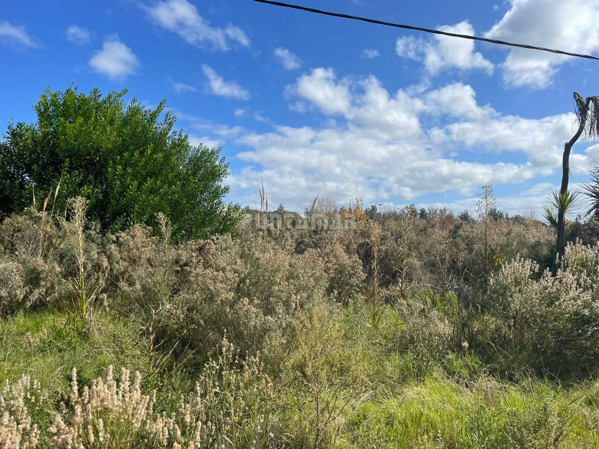Terreno ID.212675 - VENTA DE TERRENO EN EL TESORO , LA BARRA 