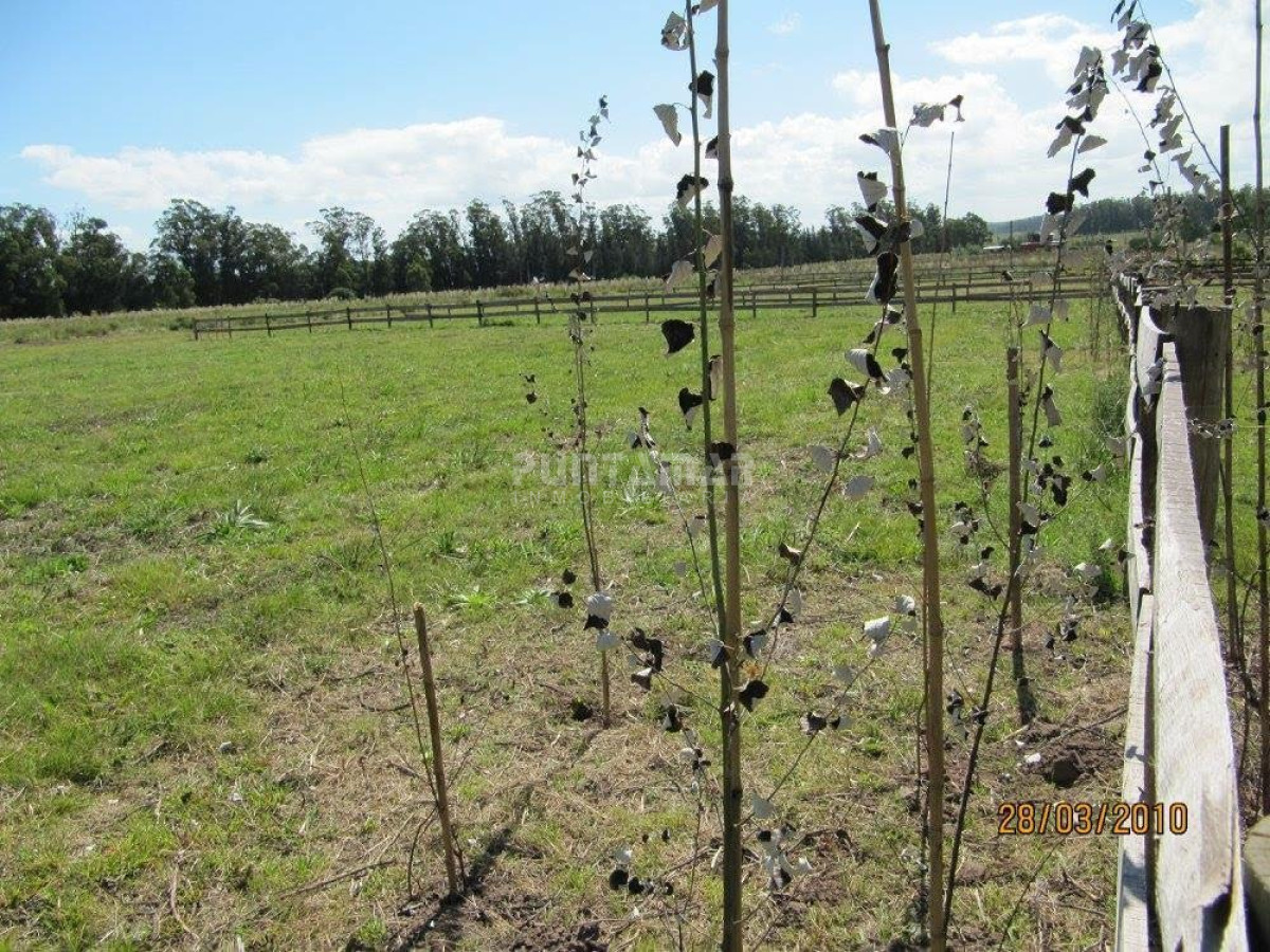 Terreno ID.211427 - Terreno en La Barra, La Barra