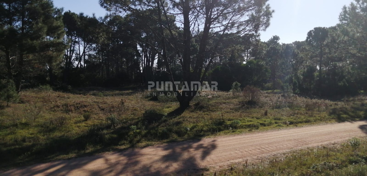 Terreno ID.212036 - VENTA DE TERRENO EN BARRA VERDE