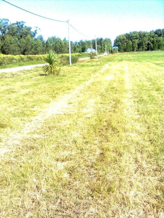 Terreno ID.211427 - Terreno en La Barra, La Barra