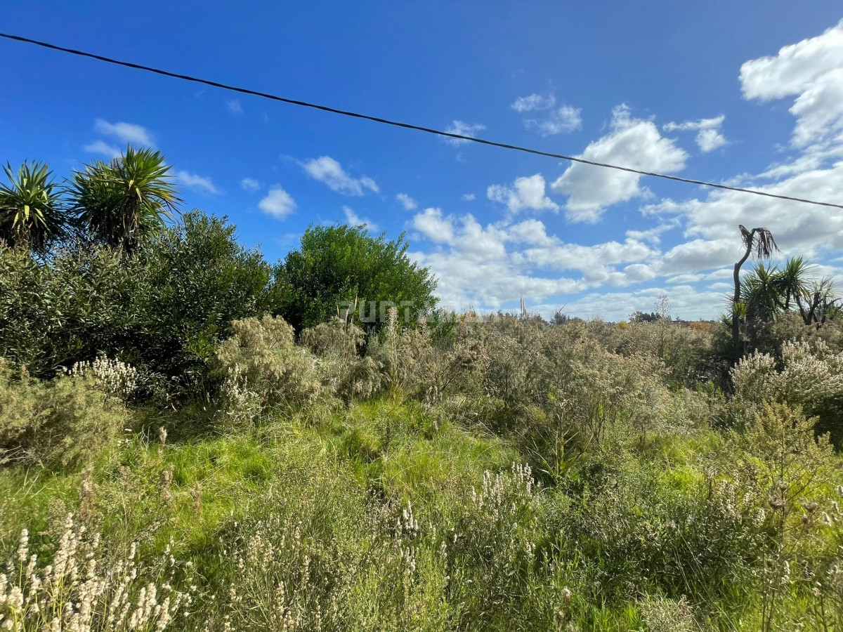 Terreno ID.212675 - VENTA DE TERRENO EN EL TESORO , LA BARRA 