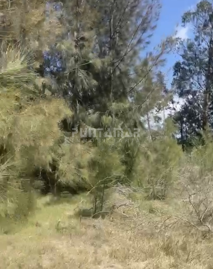 Terreno ID.213114 - TERRENO EN VENTA 900 MTS2 A MINUTOS DEL PUENTE DE LA BARRA