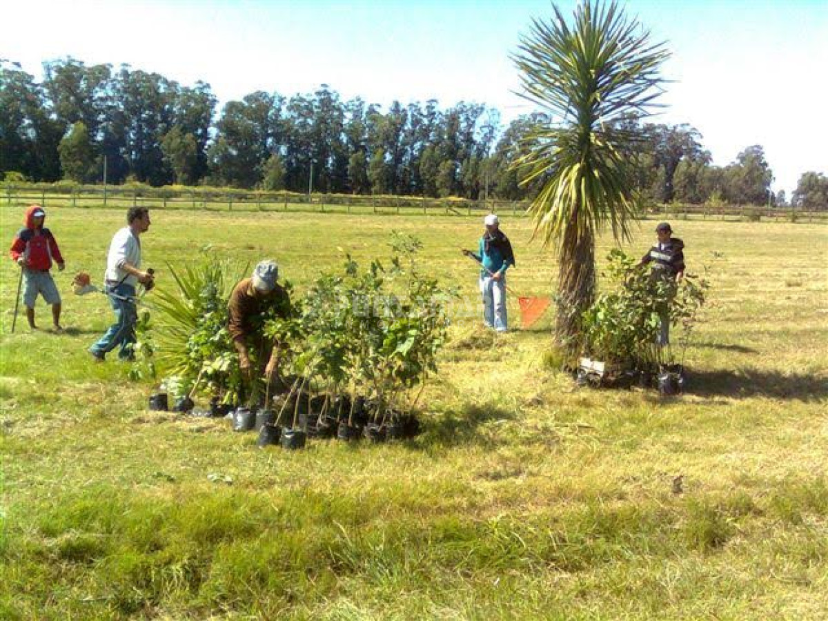 Terreno ID.211427 - Terreno en La Barra, La Barra
