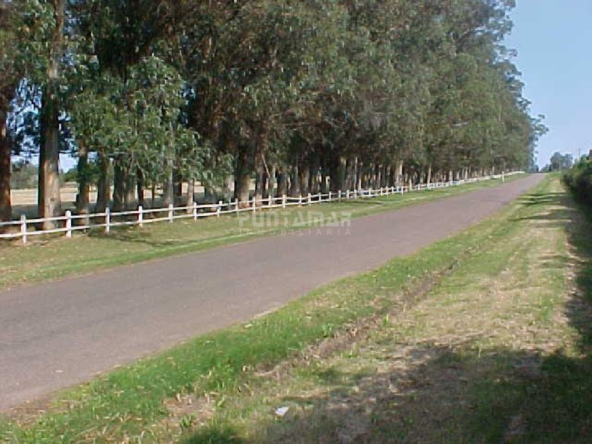 Terreno ID.211427 - Terreno en La Barra, La Barra