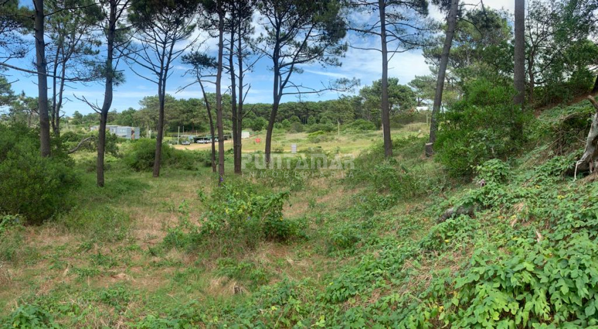 Terreno ID.211195 - Terreno en venta en Rincón del Indio, 1000 m2, oportunidad de inversión!