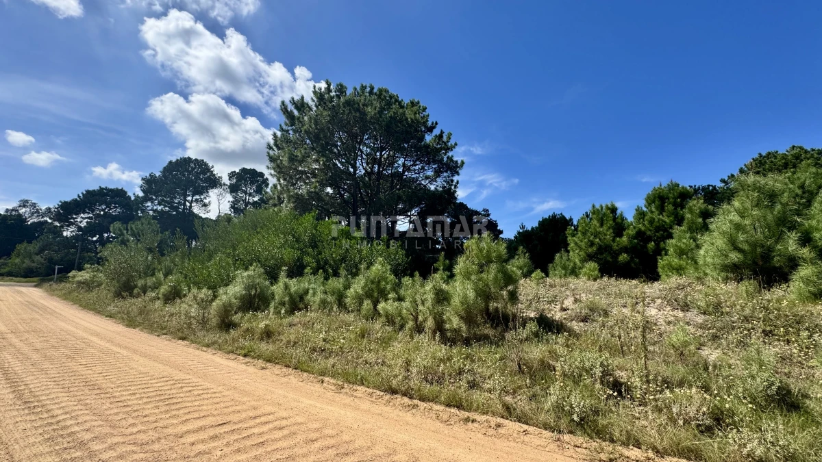 Terreno ID.213636 - OPORTUNIDAD TERRENO DE 1200 METROS EN BARRA VERDE