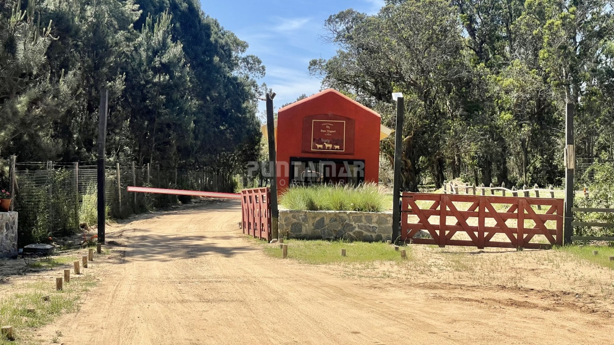 Terreno ID.213113 - Terrenos en venta en Don Miguel