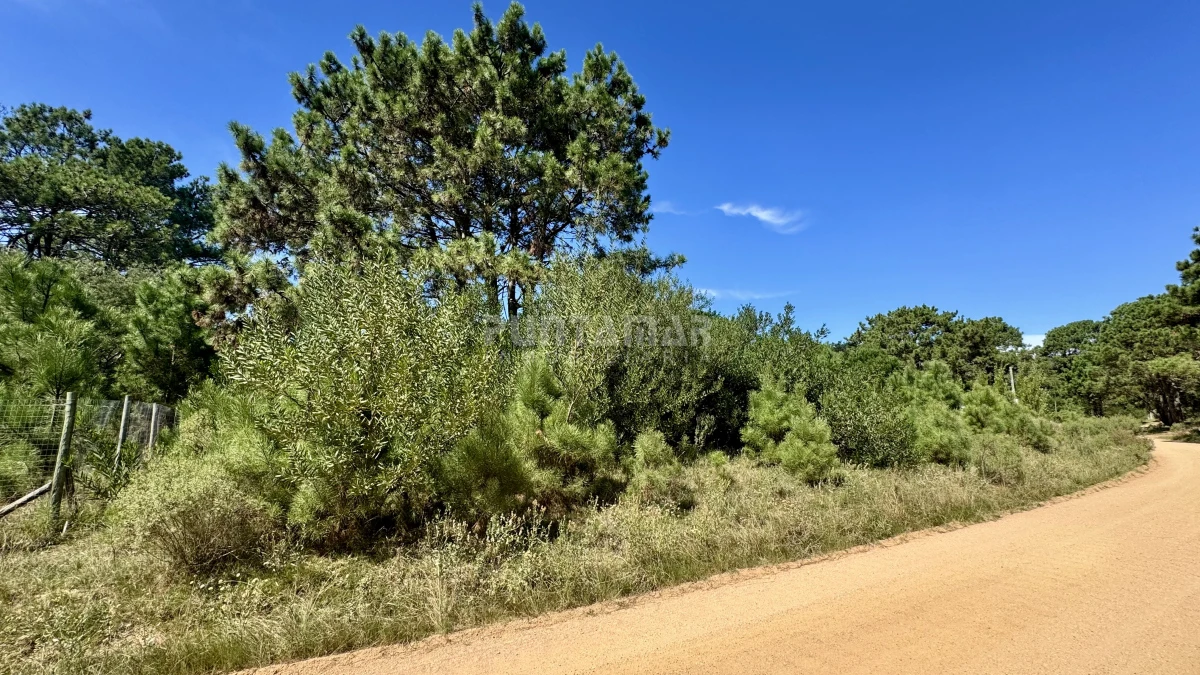 Terreno ID.213636 - OPORTUNIDAD TERRENO DE 1200 METROS EN BARRA VERDE