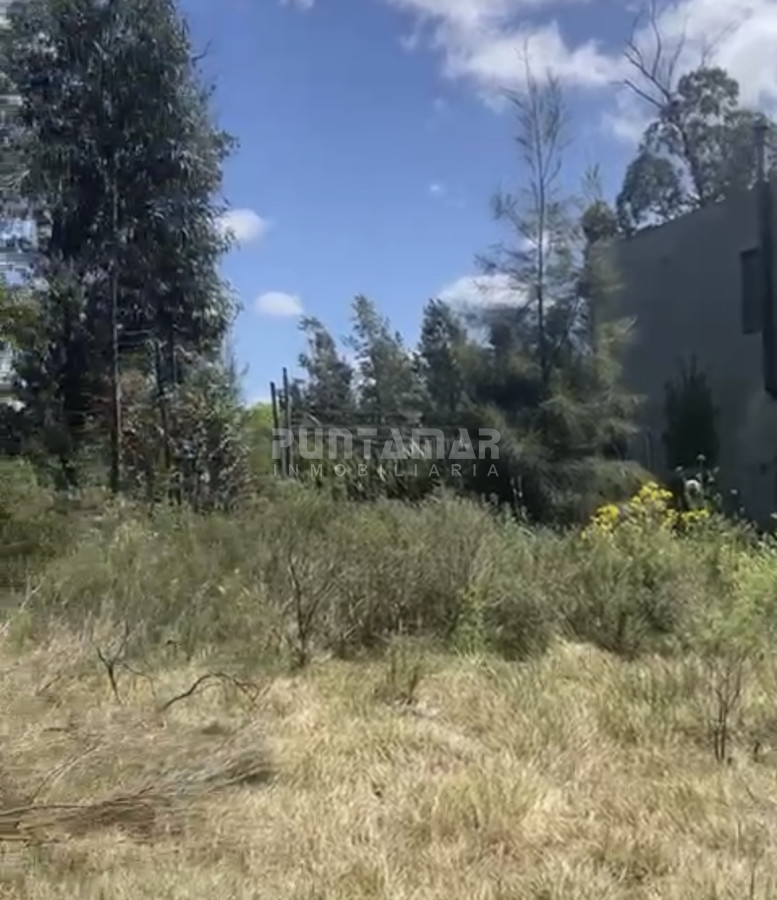 Terreno ID.213115 - VENTA TERRENO 900 MTS2 SOBRE CAMINO DEL CERRO EGUZQUIZA 