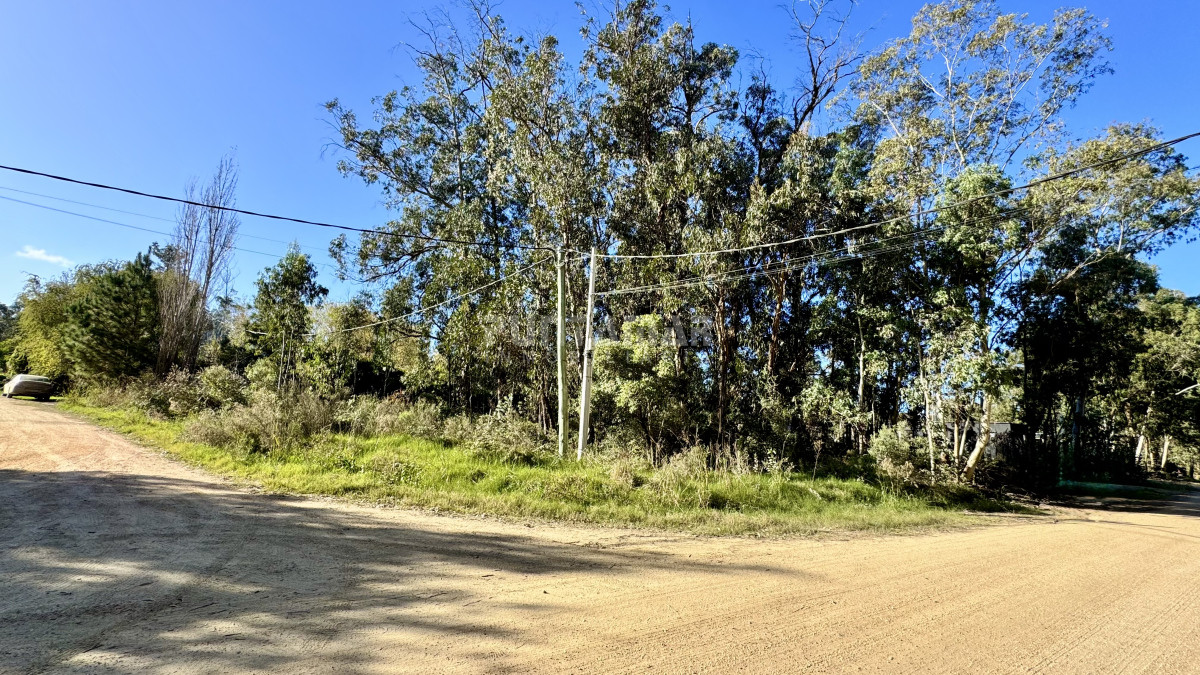 Terreno ID.213692 - OPORTUNIDAD TERRENO ARBOLADO Y ESQUINERO EN MIRAMAR ACRES 