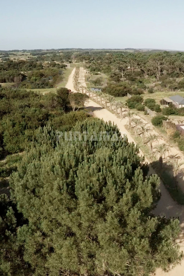 Terreno ID.213682 - HERMOSO TERRENO EN BARRIO PRIVADO EN JOSE IGNACIO 