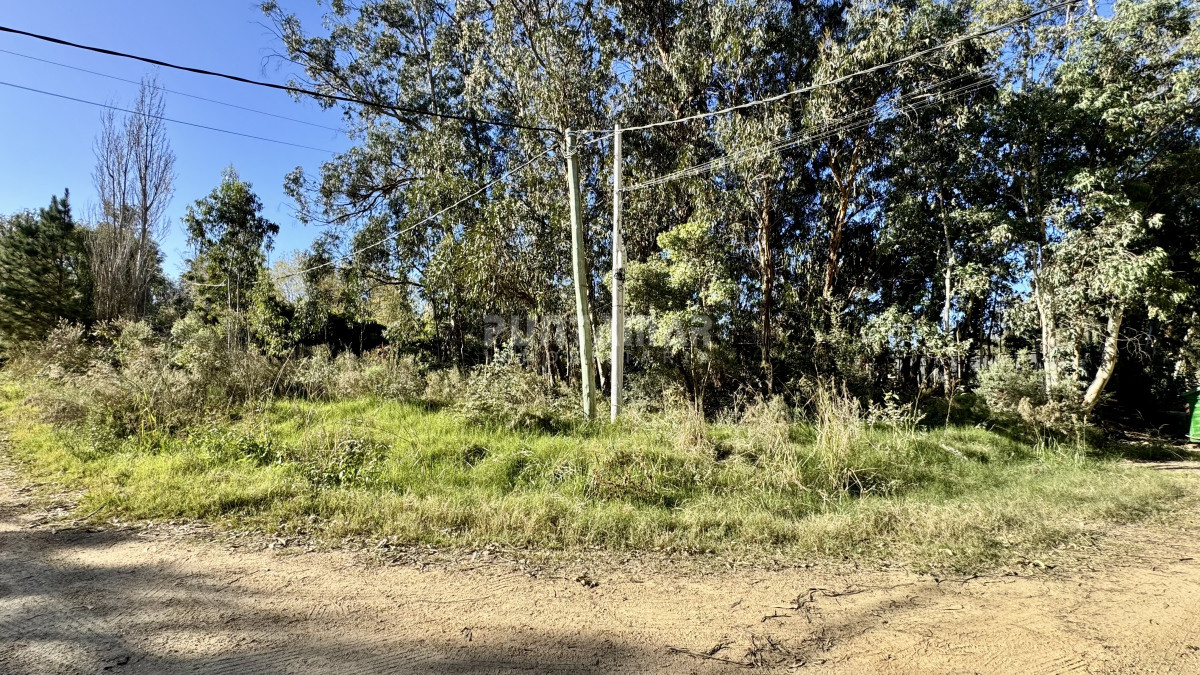 Terreno ID.213692 - OPORTUNIDAD TERRENO ARBOLADO Y ESQUINERO EN MIRAMAR ACRES 