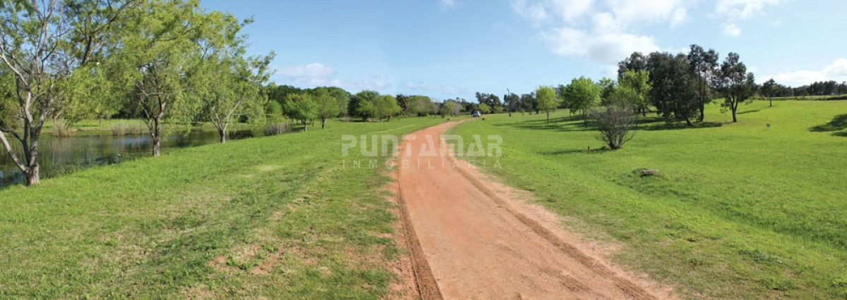 Terreno ID.211431 - Terreno en Punta Ballena, Punta Ballena