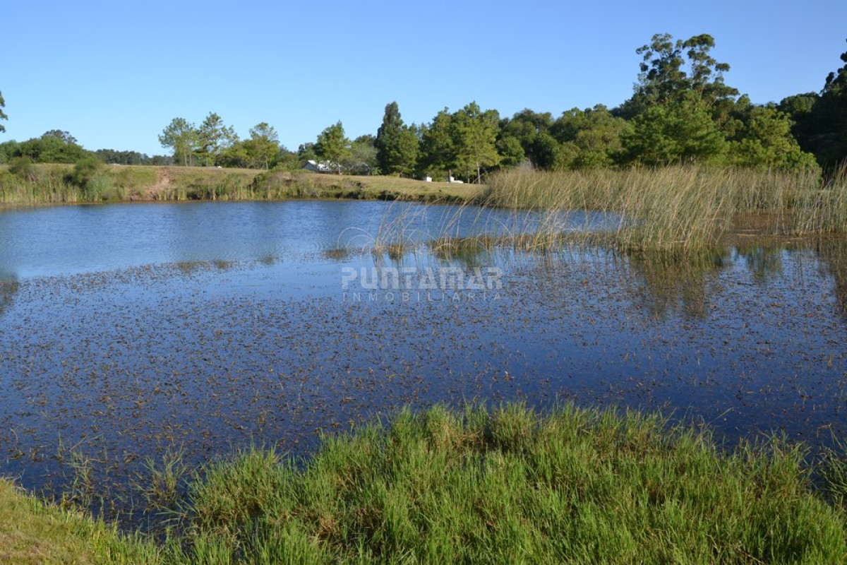 Terreno ID.211431 - Terreno en Punta Ballena, Punta Ballena