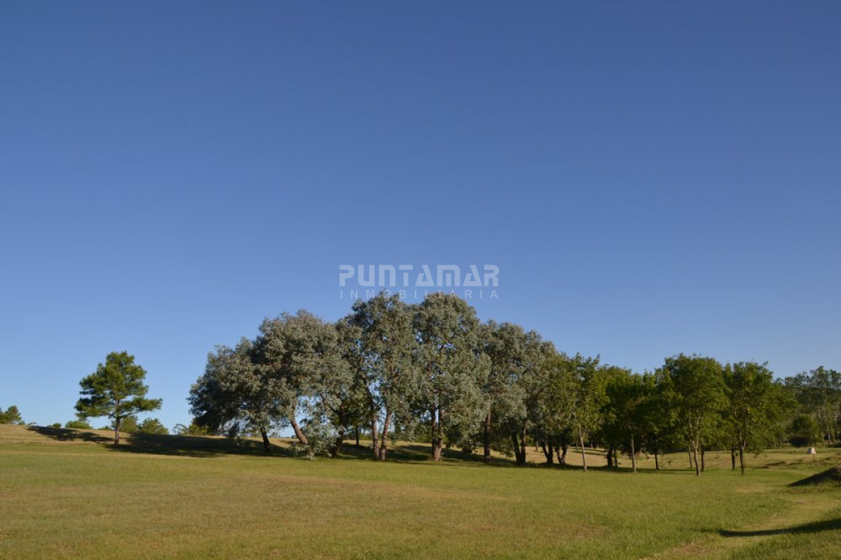 Terreno ID.211431 - Terreno en Punta Ballena, Punta Ballena