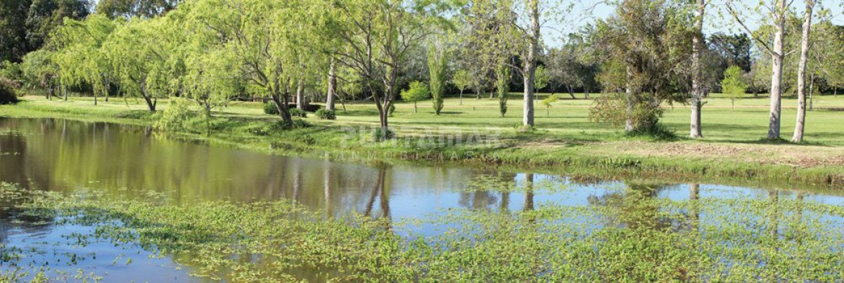 Terreno ID.211432 - Terreno en Punta Ballena, Punta Ballena