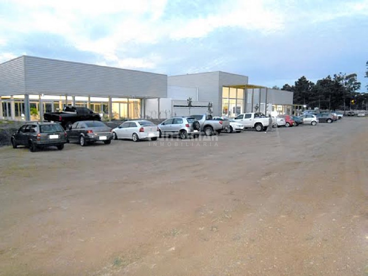 Terreno ID.211432 - Terreno en Punta Ballena, Punta Ballena
